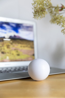 Anti-stress ball 3965_lif