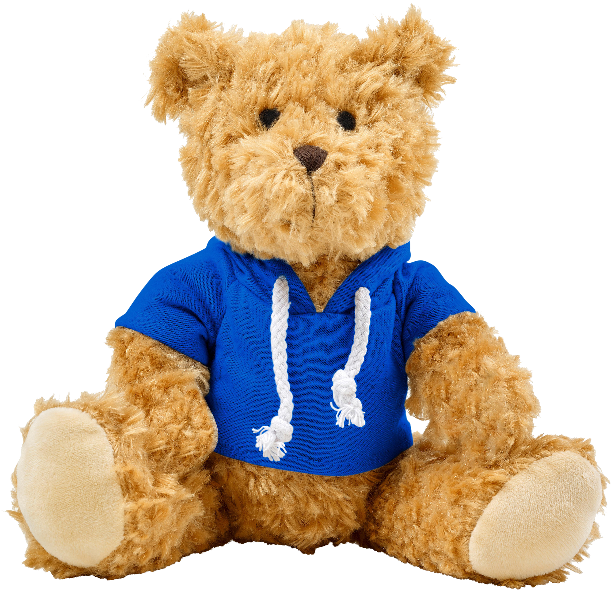 Picture of Plush teddy bear with hoodie