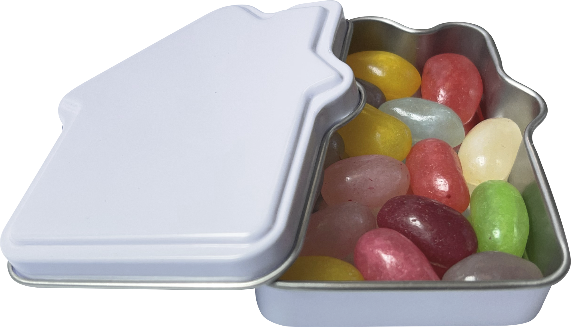 Picture of House mint tin