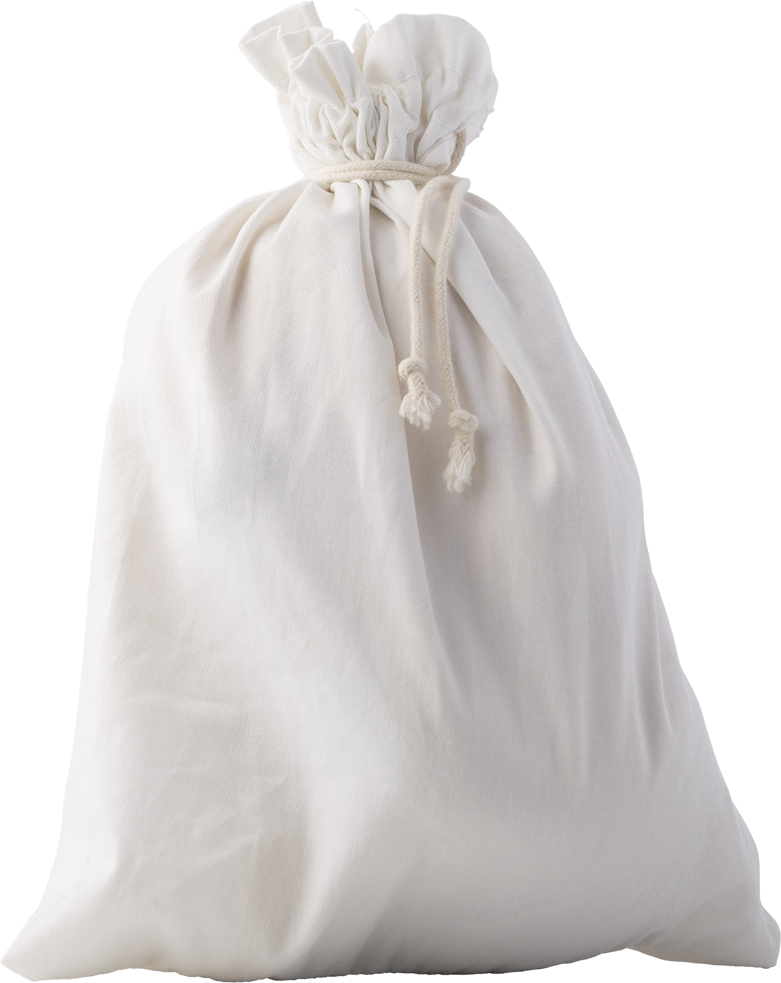 Picture of RPET Bear