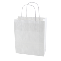 Paper bag (220 x 310 x 100mm) X201612_002 (White)