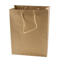 Matt paper bag (220 x 290 x 100mm) X201619_031 (Gold)