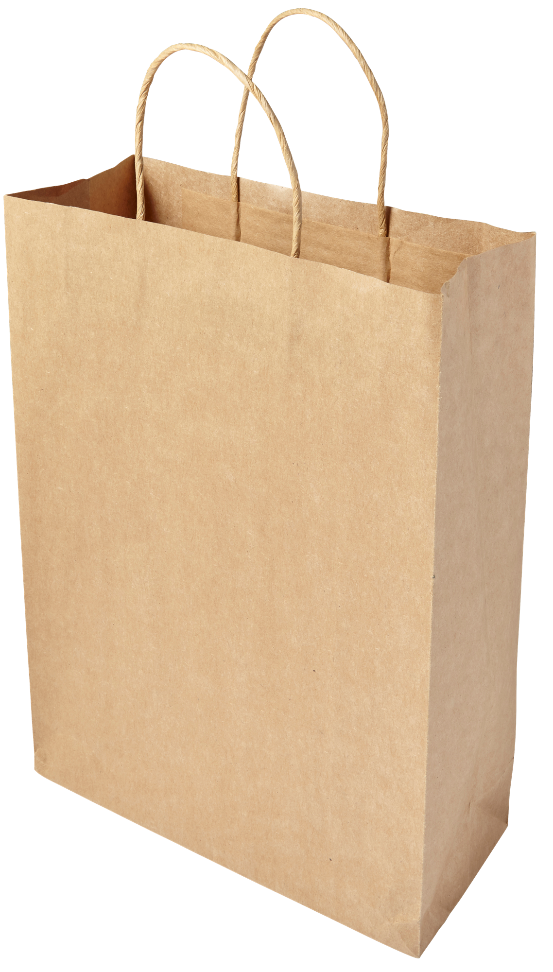 Picture of Paper bag (large)