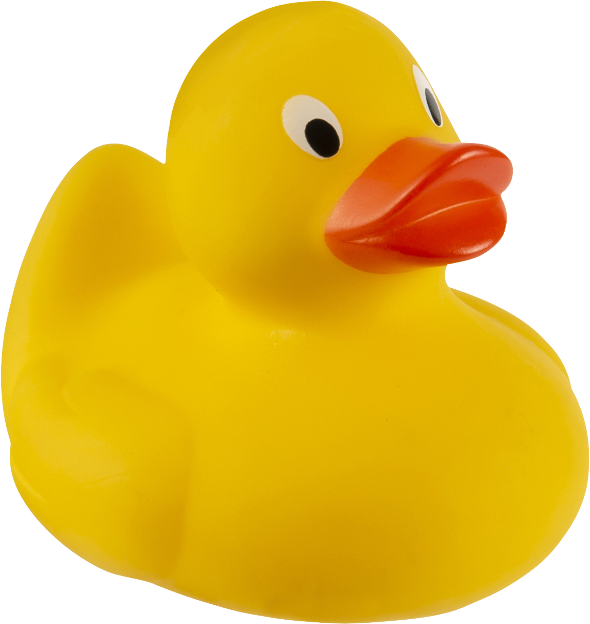 Picture of Rubber duck