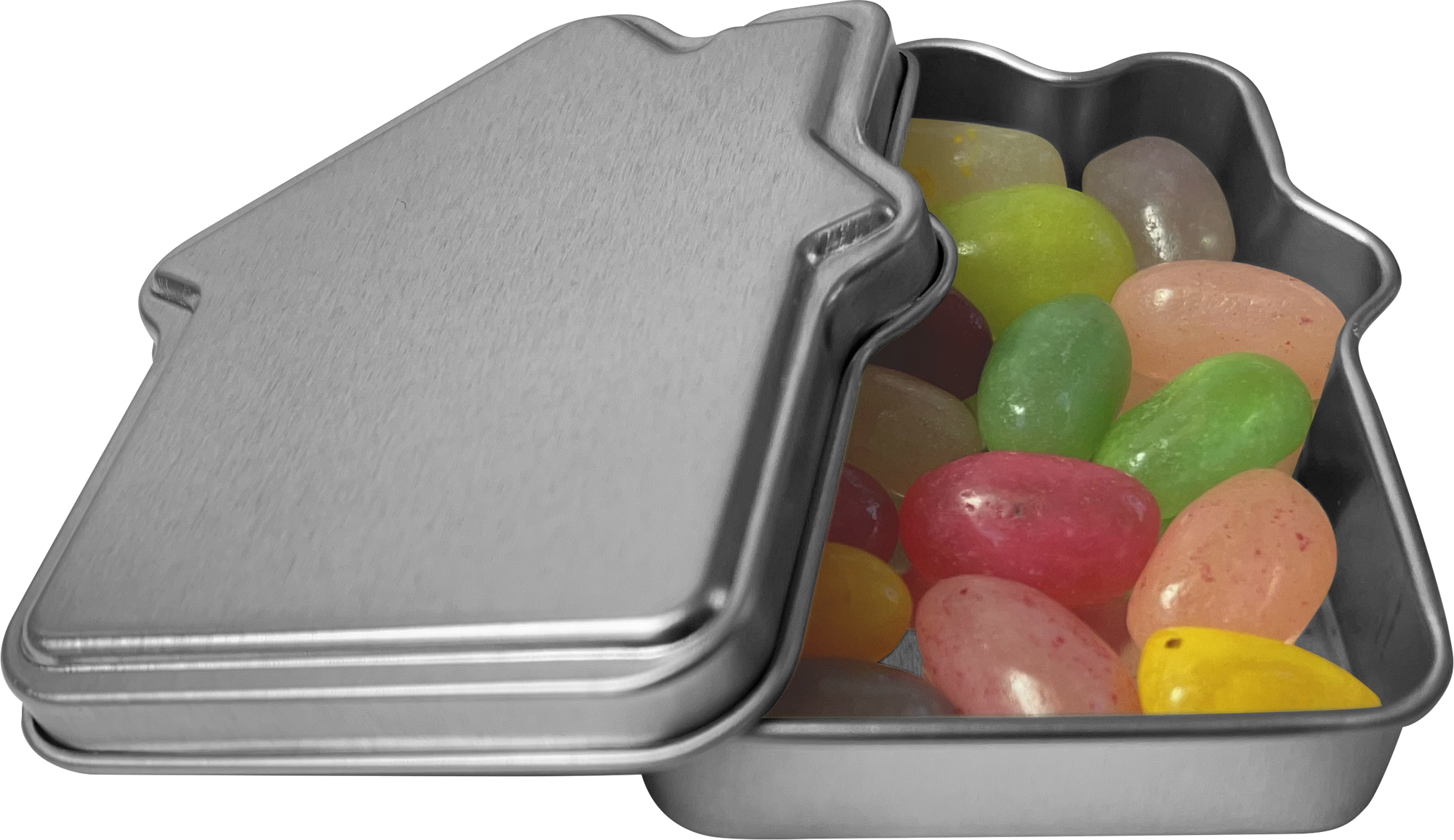 Picture of House mint tin