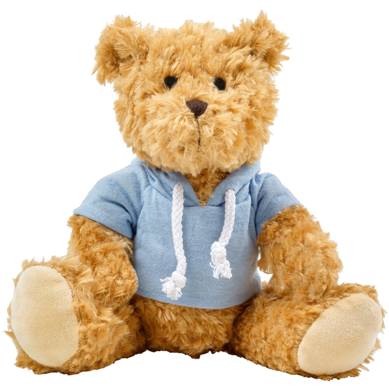 Plush teddy hoodie hotsell