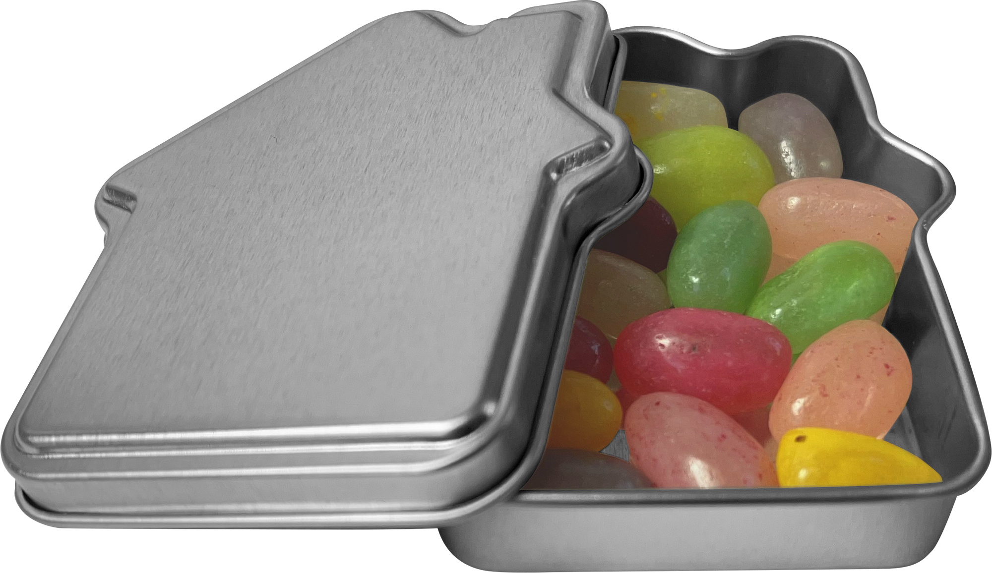 Picture of House mint tin